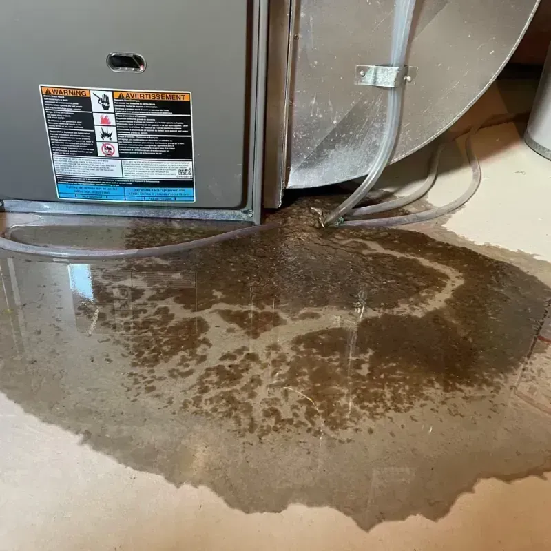 Appliance Leak Cleanup in Wallowa County, OR